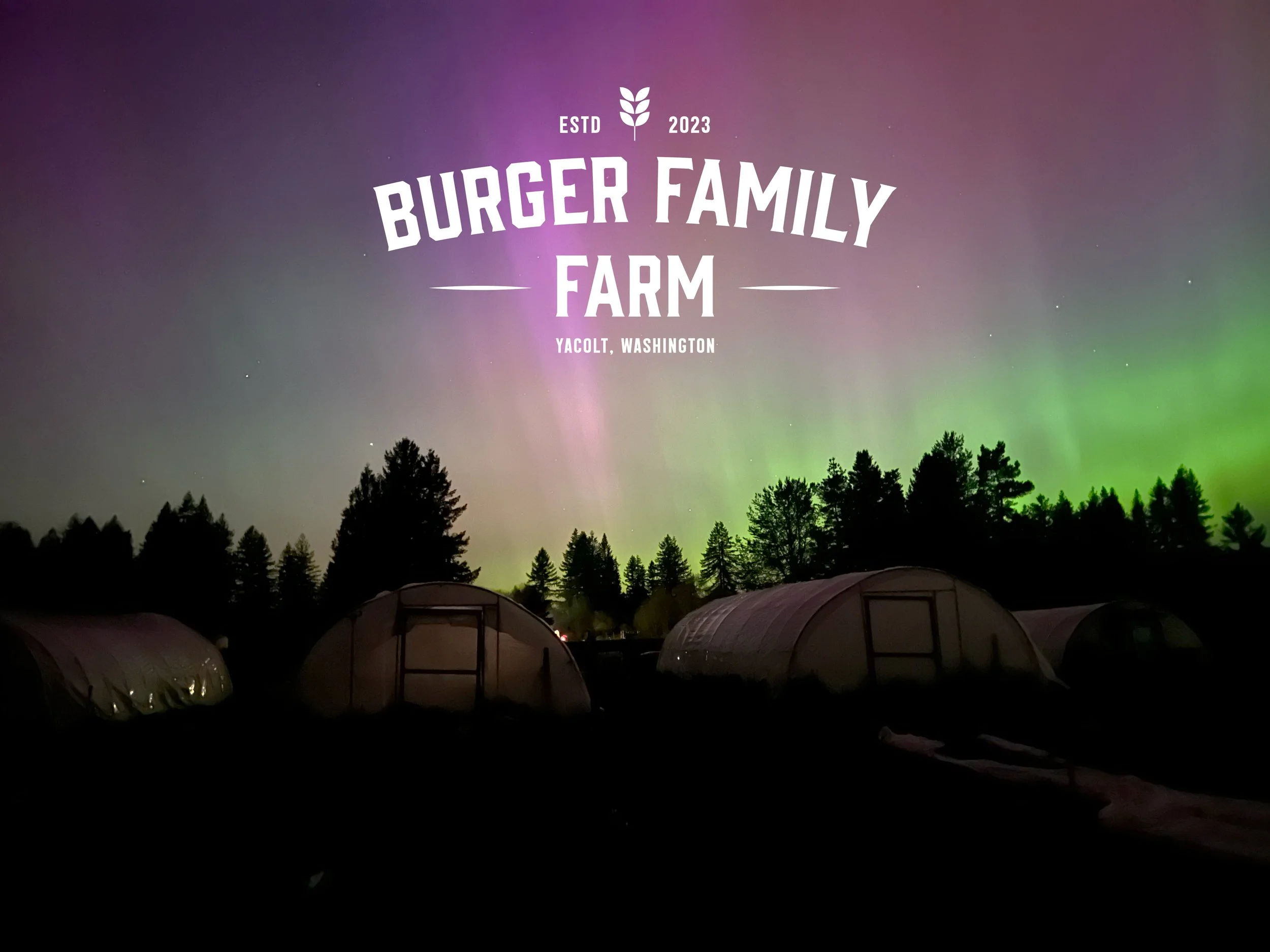 Burger Family Farm — Yacolt, Washington, under the northern lights